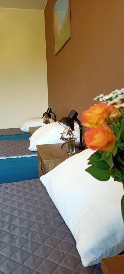 Ostoja Czersk Zamek Gora Kalwaria Apartment Luaran gambar