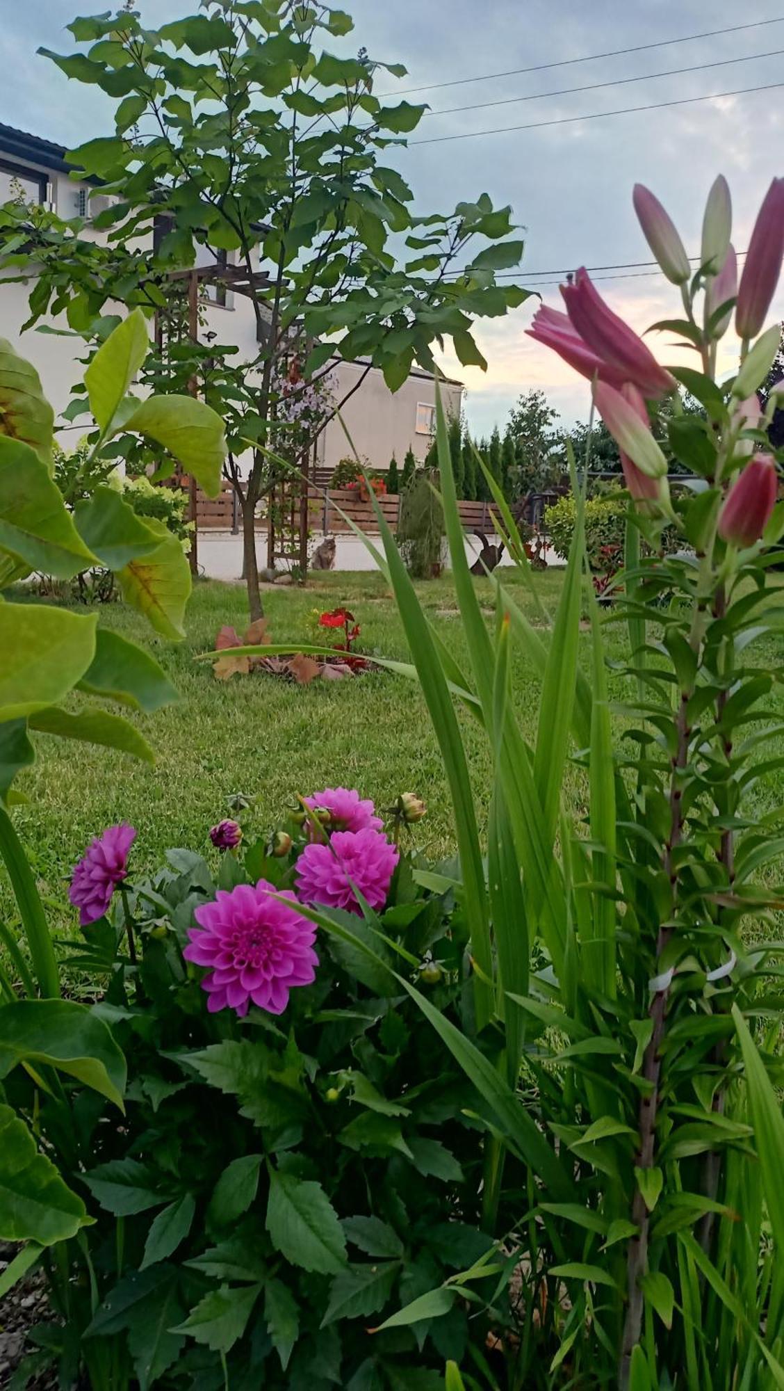 Ostoja Czersk Zamek Gora Kalwaria Apartment Luaran gambar