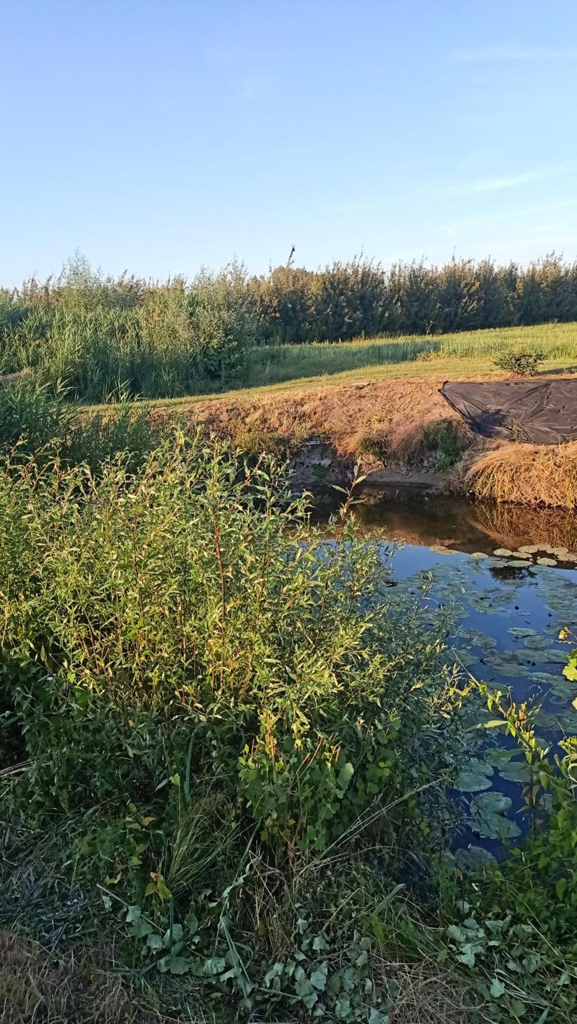Ostoja Czersk Zamek Gora Kalwaria Apartment Luaran gambar